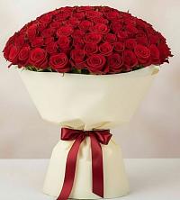 101 Красная роза Милано
