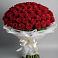 Букет 101 Красная роза Блэк Мэджик в Астрахани