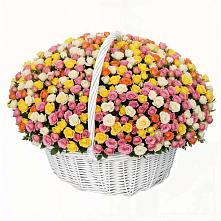 Премиум букет из: Розы в Астрахани