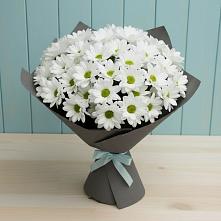 Букет цветов из:  Хризантемы в Астрахани