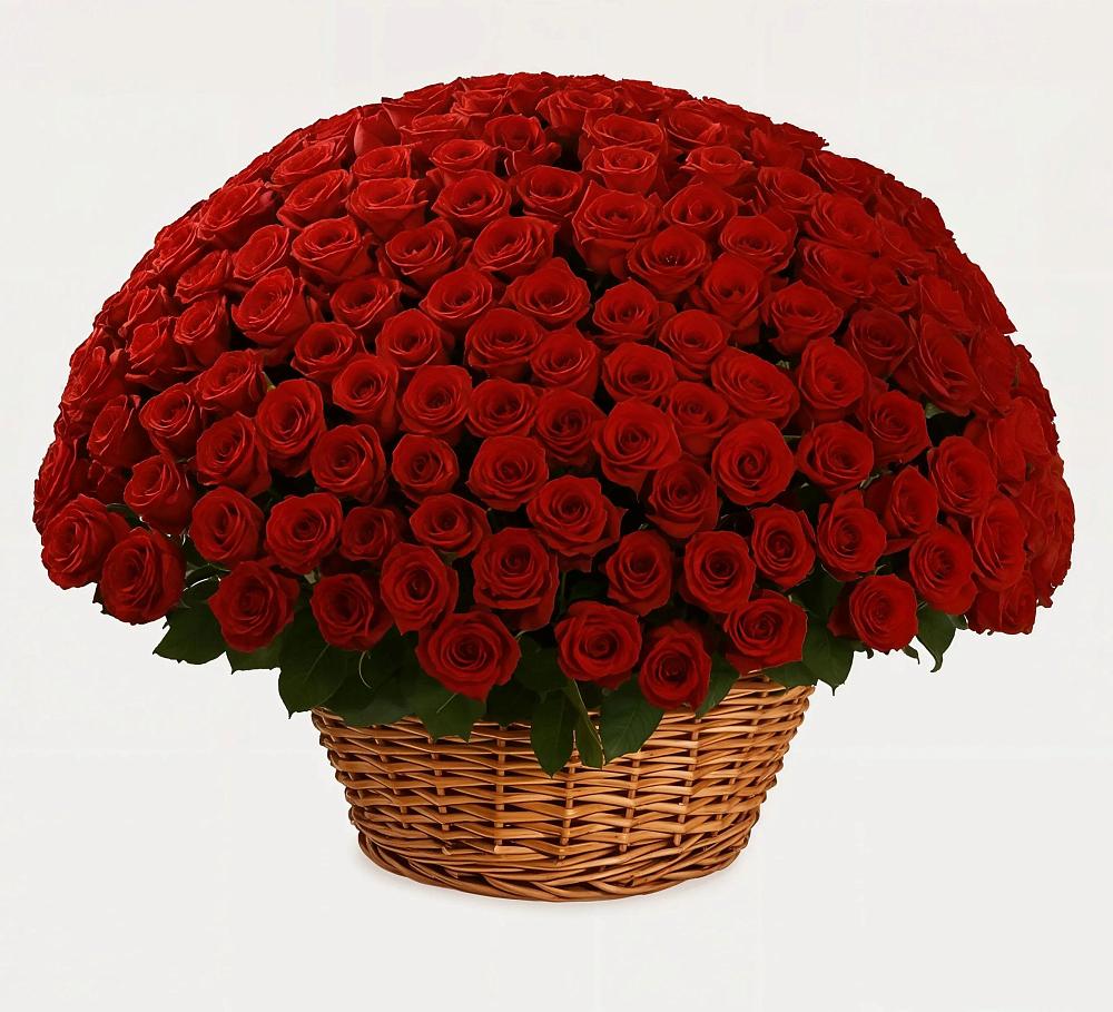 Премиум букет из: Розы в Астрахани