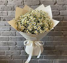 Букет цветов из:  Ромашки в Астрахани