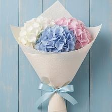 Букет цветов из:  Гортензия в Астрахани