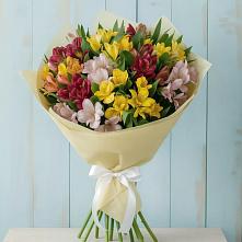 Букет цветов из:  Альстромерии в Астрахани