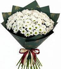 Букет цветов из:  Хризантемы в Астрахани