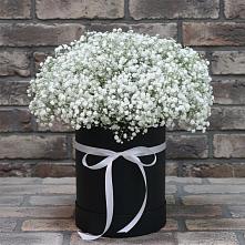 Цветочная композиция из Гипсофила в шляпной коробке в Астрахани