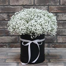 Цветочная композиция из Гипсофила в шляпной коробке в Астрахани