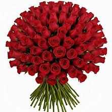 Букет Красные розы Чери Лав #REPLACE_PRED# Астрахани