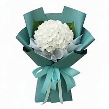 Букет цветов из:  Гортензия в Астрахани